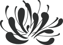 Protea Capital Partners